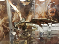 Essen_2017